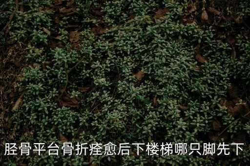 脛骨平臺骨折痊愈后下樓梯哪只腳先下