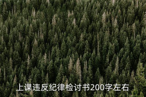 上課違反紀(jì)律檢討書200字左右