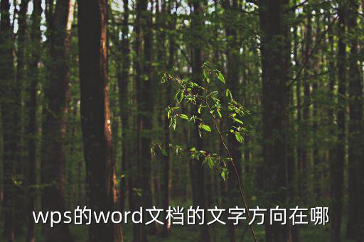 wps文字方向，怎么在wps中設置豎字從左到右