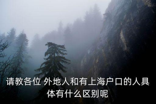 請教各位 外地人和有上海戶口的人具體有什么區別呢