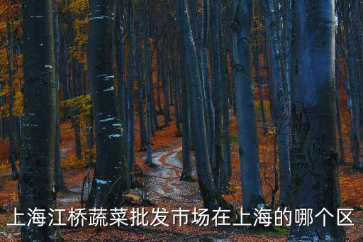 上海江橋蔬菜批發(fā)市場(chǎng)在上海的哪個(gè)區(qū)
