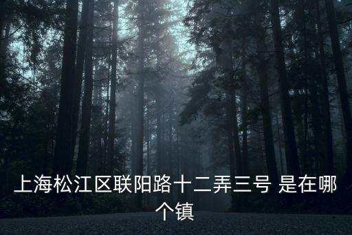 上海市松江區(qū)聯(lián)陽路12弄12號，上海松江區(qū)聯(lián)陽路十二弄三號 是在哪個鎮(zhèn)
