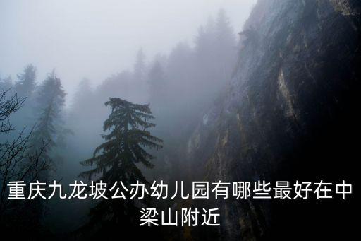 重慶九龍坡公辦幼兒園有哪些最好在中梁山附近