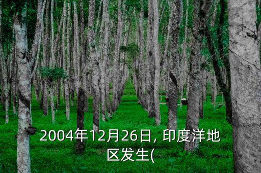 印度洋海嘯,世界上傷亡最慘重海嘯已致15.6萬人死