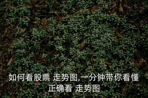 如何看股票 走勢圖,一分鐘帶你看懂正確看 走勢圖