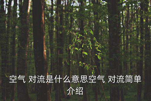 空氣 對流是什么意思空氣 對流簡單介紹