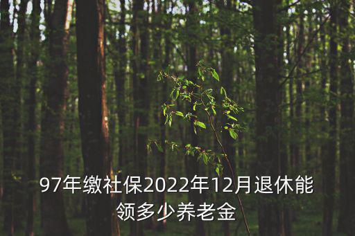 97年繳社保2022年12月退休能領多少養老金