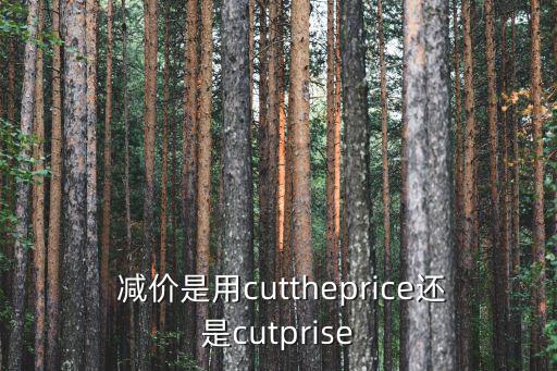  減價是用cuttheprice還是cutprise