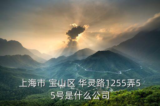 上海市 寶山區 華靈路1255弄55號是什么公司