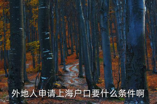 外地人申請(qǐng)上海戶口要什么條件啊