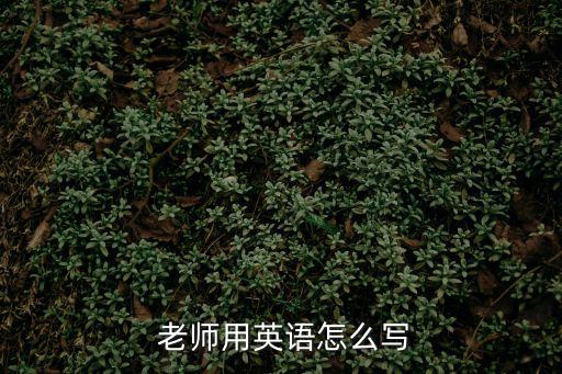 老師英文,選區(qū)競選廣播