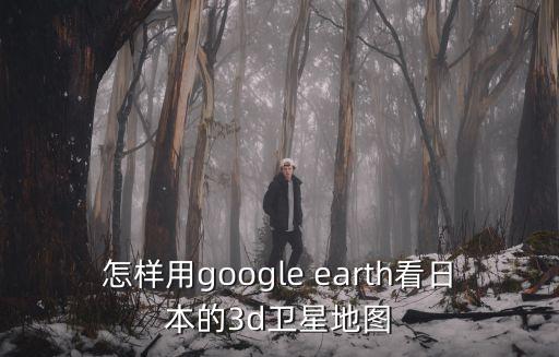 怎樣用google earth看日本的3d衛星地圖