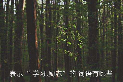 表示“ 學(xué)習(xí),勵(lì)志”的 詞語有哪些