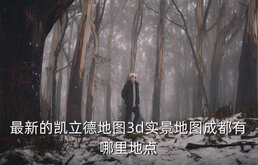 成都地圖實景地圖，最新的凱立德地圖3d實景地圖成都有哪里地點