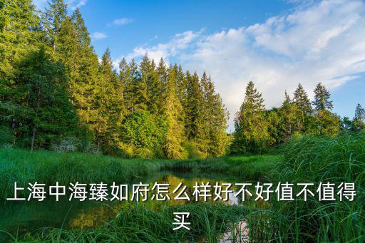 上海市靜寧路100號，上海普陀區靜寧路100弄臻如府二期屬于什公街道