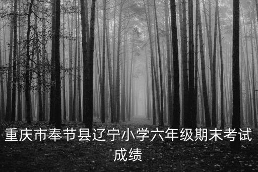 重慶市奉節縣2019年小學畢業考試答案，2011年重慶市奉節縣小學升初中各個初中學校錄取分為多少實驗