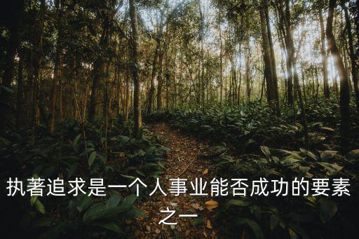 執著追求，執著追求精神是什么意思