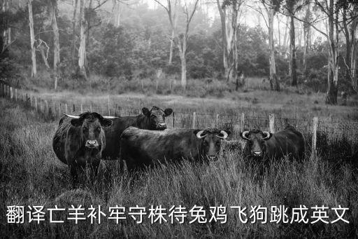 翻譯亡羊補牢守株待兔雞飛狗跳成英文