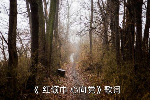 《 紅領巾 心向黨》歌詞