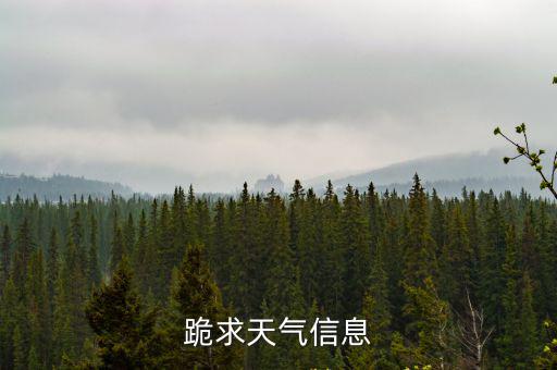 廣西氣象臺信息網最新，廣西氣象信息網的北海灣的未來一周的天氣預報