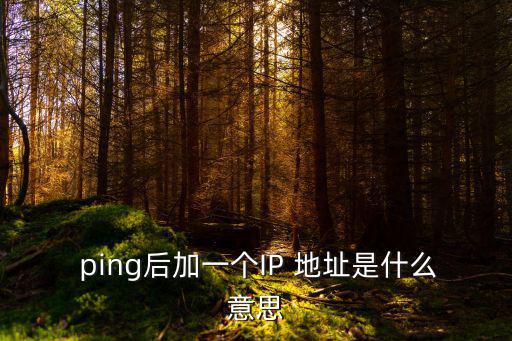  ping后加一個IP 地址是什么意思