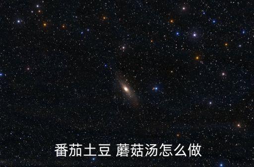 番茄蘑菇湯,番茄豆腐蘑菇湯:三刻鐘即可享用
