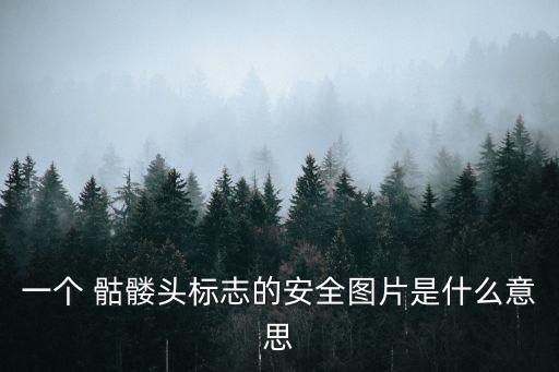 骷髏頭圖片,用鋼筆工具新建一層骷髏頭型輸入多個煙霧材質