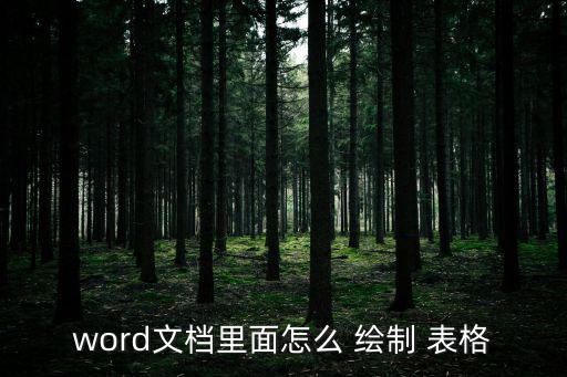 word文檔里面怎么 繪制 表格