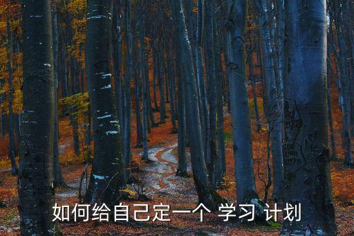 如何給自己定一個 學(xué)習(xí) 計劃