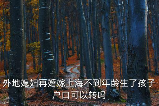 二婚嫁到上海戶口可以遷過來不，我是二婚跟現在妻子上海人結婚我的孩子戶口可以遷到上海嗎