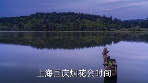 上海市政府有關煙花的通知，關于上海煙花節的問題