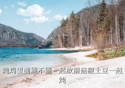 燉雞里面能不能一起放蘑菇跟土豆一起燉