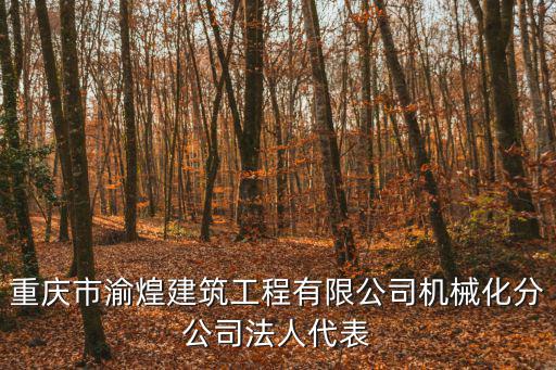 重慶市渝煌建筑工程有限公司機械化分公司法人代表