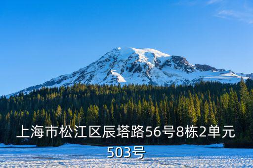 上海市松江區(qū)辰塔路56號8棟2單元503號