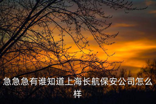 上海市航天保安服務(wù)有限公司，上海擎天保安公司
