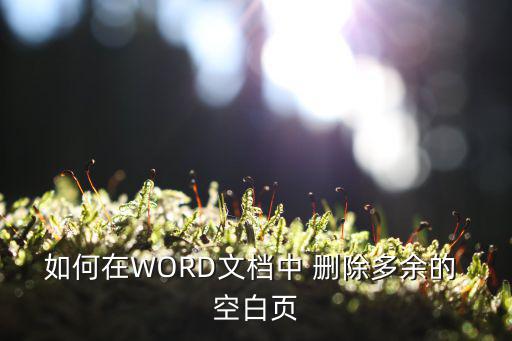 如何在WORD文檔中 刪除多余的 空白頁