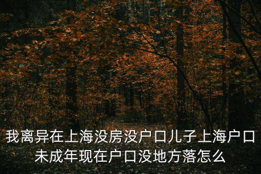 我離異在上海沒房沒戶口兒子上海戶口未成年現在戶口沒地方落怎么