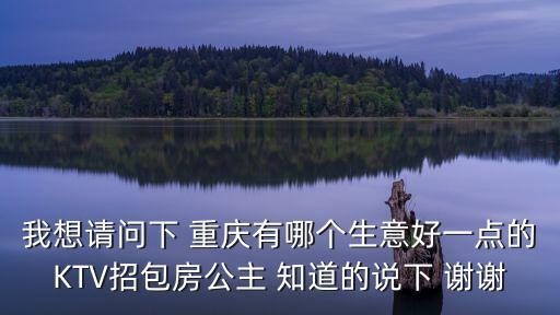 我想請問下 重慶有哪個生意好一點的KTV招包房公主 知道的說下 謝謝