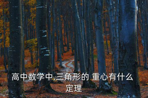 高中數學中,三角形的 重心有什么 定理