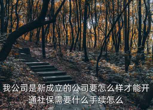 我公司是新成立的公司要怎么樣才能開通社保需要什么手續怎么