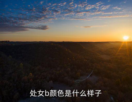 處女b顏色是什么樣子