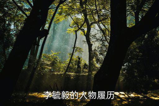 李毓毅的人物履歷