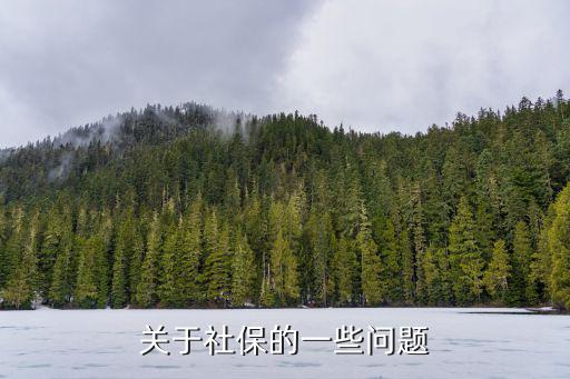關于社保的一些問題