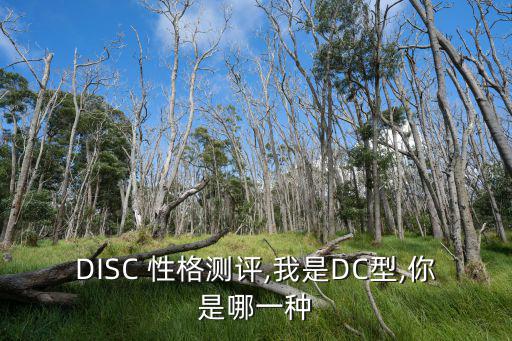disc性格測試,disc性格測試如何進行?