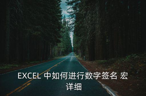 EXCEL 中如何進行數(shù)字簽名 宏 詳細
