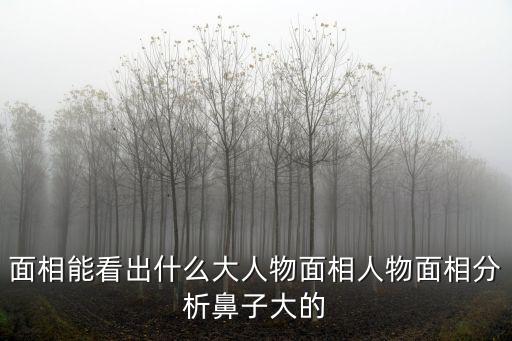 鼻頭大面相，面相能看出什么大人物面相人物面相分析鼻子大的