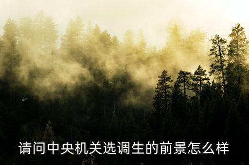 請問中央機關選調生的前景怎么樣