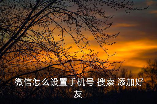  微信怎么設置手機號 搜索 添加好友