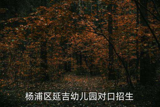 上海市延吉幼兒園對口小學(xué)，上海延吉中路水豐路附近有什么學(xué)校