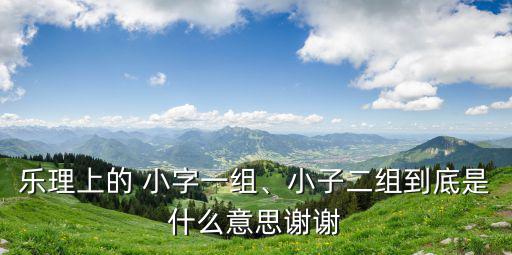 樂理上的 小字一組、小子二組到底是什么意思謝謝